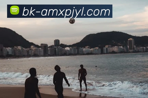 多媒体互动体验